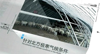 育肥智能型陽光畜牧棚舍