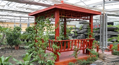 設(shè)施園藝工程技術(shù)研究